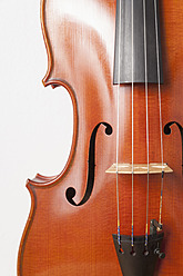 Violin from 19th century - TCF003274