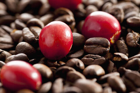 Frische und geröstete Kaffeebohnen, Nahaufnahme, lizenzfreies Stockfoto