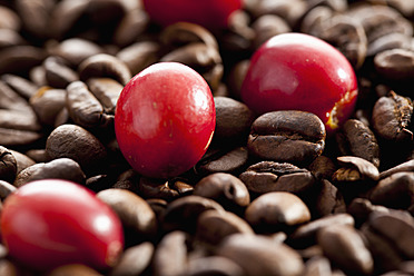 Fresh and roasted coffee beans, close up - CSF016244