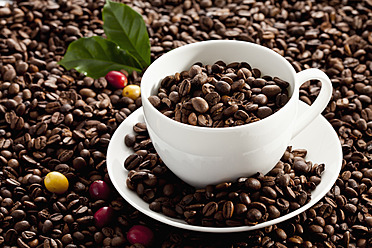 Geröstete Kaffeebohnen mit Kaffee oben, Nahaufnahme - CSF016248