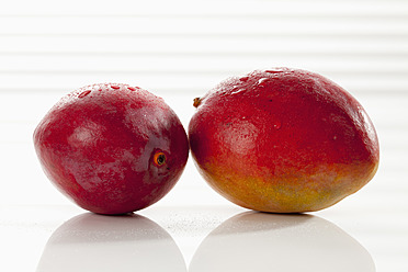 Mango-Frucht auf weißem Hintergrund, Nahaufnahme - CSF016366
