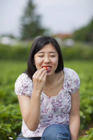 Deutschland, Bayern, Junge Japanerin isst frische Erdbeeren in einem Erdbeerfeld, lizenzfreies Stockfoto