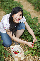 Deutschland, Bayern, Junge Japanerin pflückt frische Erdbeeren im Erdbeerfeld - FLF000202