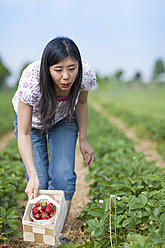 Deutschland, Bayern, Junge Japanerin pflückt Erdbeeren auf einem Feld - FLF000209