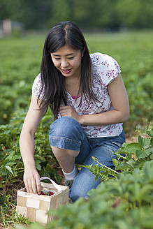 Deutschland, Bayern, Junge Japanerin pflückt Erdbeeren auf einem Feld - FLF000210