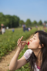 Deutschland, Bayern, Junge Japanerin isst Erdbeere auf einem Feld - FLF000214