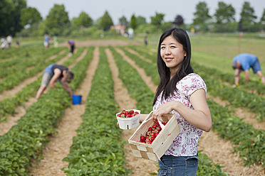 Deutschland, Bayern, Junge Japanerin pflückt Erdbeeren auf einem Feld - FLF000219