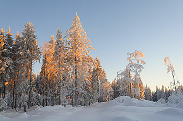 Deutschland, Blick auf den Schwarzwald im Winter - JOKF000005