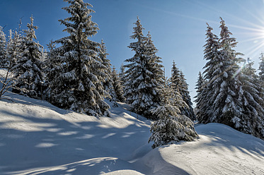 Deutschland, Sasbachwalden, Blick auf die Hornisgrinde im Schwarzwald - JOKF000006