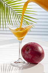 Mangosaft wird neben Mango in ein Martiniglas gegossen - CSF016410