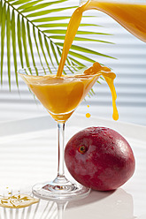 Mangosaft wird neben Mango in ein Martiniglas gegossen - CSF016411