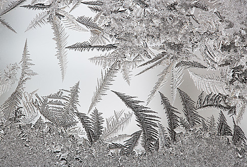 Österreich, Fenster mit Eiskristall bedeckt, Nahaufnahme - WWF002627