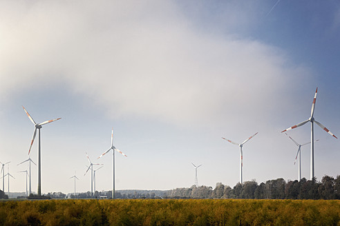 Deutschland, Blick auf eine Windkraftanlage im Kornfeld bei Sassenberg - MSF002756