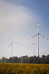 Deutschland, Blick auf eine Windkraftanlage im Kornfeld bei Sassenberg - MSF002755