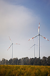 Germany, View of wind power plant in cornfield near Sassenberg - MSF002755