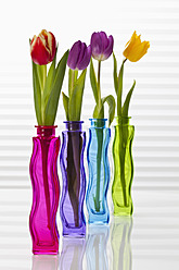 Verschiedene Tulpen in einer Blumenvase, Nahaufnahme - CSF016510