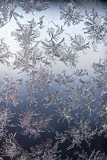 Deutschland, Würzburg, Eisblumen am Fenster - NDF000303