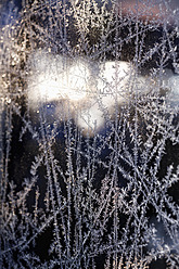 Germany, Wuerzburg, Ice flowers on window - NDF000304