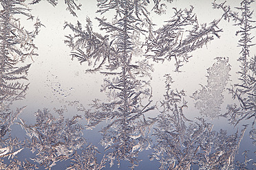 Deutschland, Würzburg, Eisblumen am Fenster - NDF000305