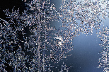 Germany, Wuerzburg, Ice flowers on window - NDF000306