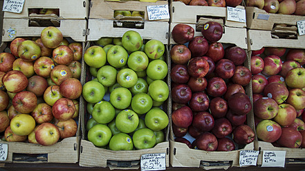 USA, California, San Francisco, Variety of apples in crate at market - DJGF000031