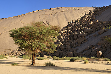 Algerien, Akazienbaum vor einer riesigen Granitkuppel in Tehenadou - ESF000174