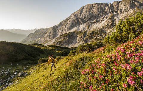 Österreich, Salzburger Land, Mann wandert durch die Niederen Tauern in der Morgendämmerung, lizenzfreies Stockfoto