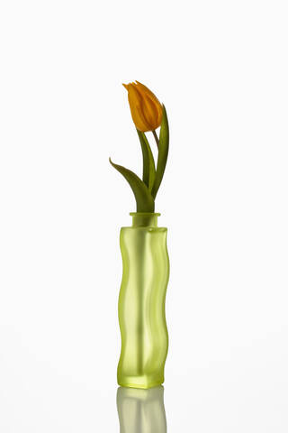 Grüne Blumenvase mit Tulpe auf weißem Hintergrund, Nahaufnahme, lizenzfreies Stockfoto