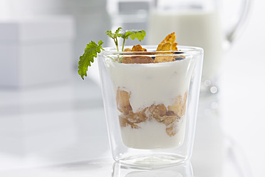 Glas Joghurt mit Müsli und Cornflakes auf weißem Hintergrund, Nahaufnahme - CSF016586