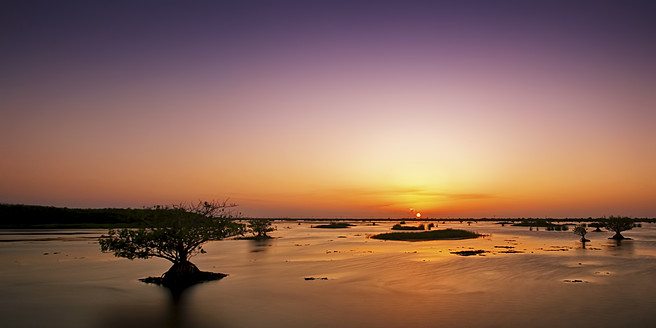 USA, Florida, Mangrove im Sumpf bei Sonnenuntergang - SMAF000107