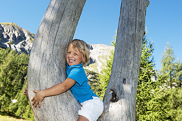 Austria, Salzburg Country, Boy sitting in tree, smiling - HHF004357