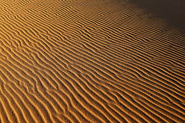 Algeria, View of sand dunes at Erg Mehejibad - ESF000212