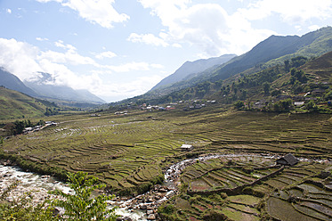 Vietnam: Blick auf ein Reisfeld - NH001341