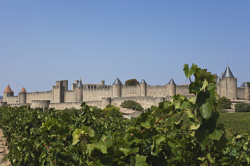 Frankreich, Blick auf Weinberge und Carcassonne im Hintergrund - GWF002130