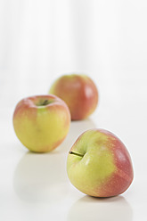 Äpfel auf weißem Hintergrund, Nahaufnahme - ASF004834
