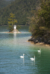 Österreich, Blick auf den Wolfgangsee bei St. Gilgen - WWF002647