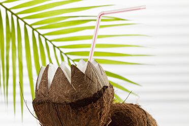 Kokosnuss mit Trinkhalm und Palmblatt im Hintergrund, Nahaufnahme - CSF016650