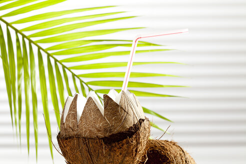 Coconut with drinking straw and palm leaf in background, close up - CSF016651
