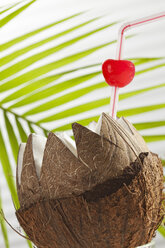 Kokosnuss mit Trinkhalm, Kirsche und Palmblatt im Hintergrund, Nahaufnahme - CSF016653
