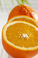Orangen und Palmenblatt, Nahaufnahme - CSF016657