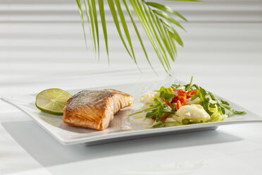 Plate of salmon fillet with mixed salad, close up - CSF016665