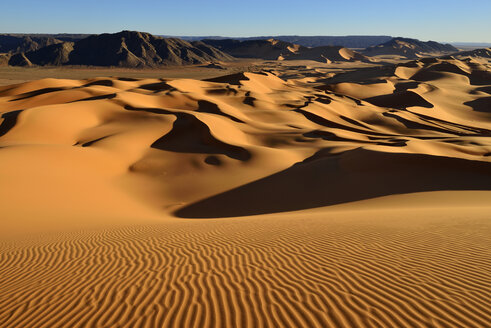 Algerien, Blick auf die Sanddünen von Erg Mehejibad - ESF000255