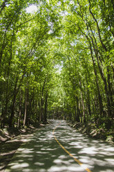 Philippinen, Bohol, Blick auf leere Straße - MBEF000541