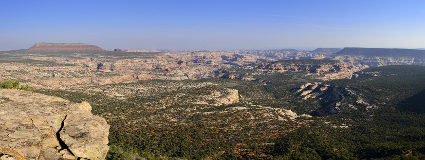 USA, Utah, View of Canyonlands National Park - ESF000241