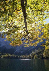 Österreich, Blick auf den Hinterer Langbathsee und die Berge im Hintergrund - WWF002662