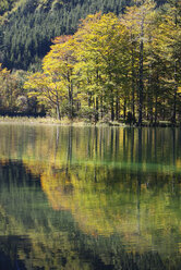 Austria, View of Hinterer Langbathsee Lake - WWF002663