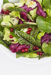 Bowl of fresh salad on white background, close up - GWF002159