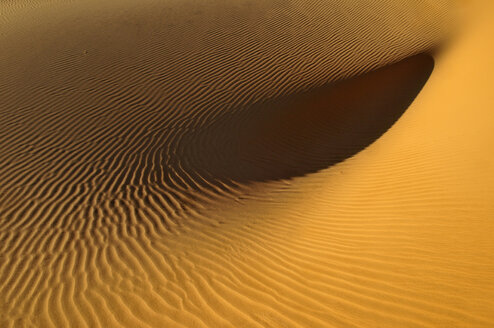 Algerien, Sahara, Blick auf die Sanddüne Erg Mehedjibat - ESF000268