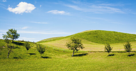 Austria, Landscape of small trees against blue sky at Mondsee - WVF000314