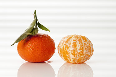 Ganze und geschälte frische Clementinen auf weißem Hintergrund, Nahaufnahme - CSF016796